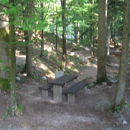 Camping Pivka Jama Campsite Postojna