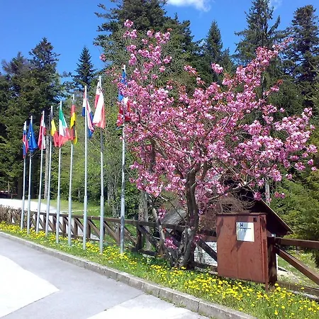 Campsite Camping Pivka Jama Postojna