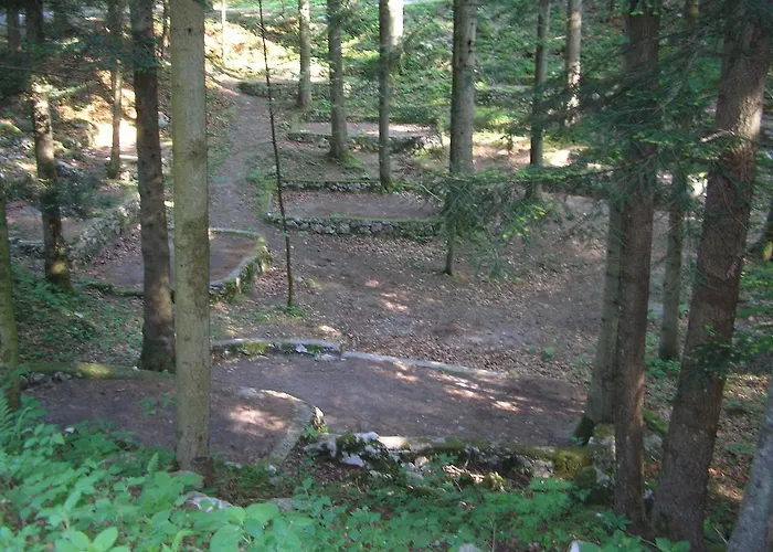 캠프장 Pivka Jama 포스토이나