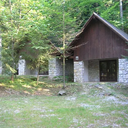 Pivka Jama Kamp alanı