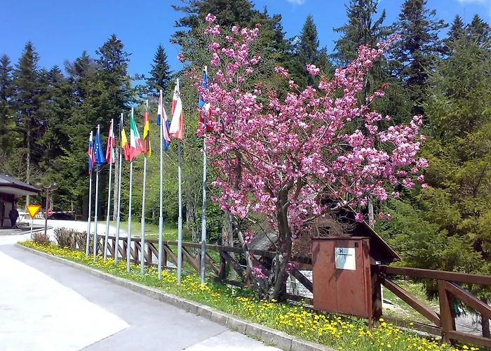 Κάμπινγκ Pivka Jama Postojna