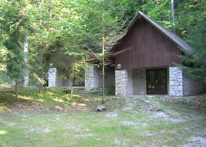 Camping Pivka Jama Kamp